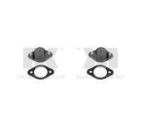 2x NK Cojintete Soporte Trasero para BMW 3er Compacto E46 316Ti 318 E36 316i