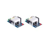 2X Placa Amplificadora de Potencia Digital HiFi Clase D de 1000 W IRS2092S, Amplificador de Sonido Mono de Canal para Altavoces Domésticos y