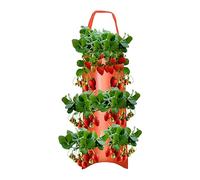 2x Plantation Pour Fraise - Culture Potager Tour A Fraise Suspendre | Sacs De Plantation De Fraises En Feutre | Jardinières Robustes Avec Poignées | IDéales Pour plantess De Terrasse, Balcon Et Jardin