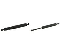 2x resortetes de gas de maletero FEBI BILSTEIN Parte trasera I+D para KLASA R