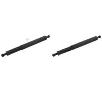 2x resortetes de gas de maletero FEBI BILSTEIN Parte trasera I+D para W211