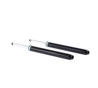 2x RIDEX Amortiguador Delantero Presión de gas Amortiguadores 854S1672