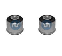 2x RTS Horquilla Rodamientos Delantero Izquierdo Derecho para Renault Kangoo KC0