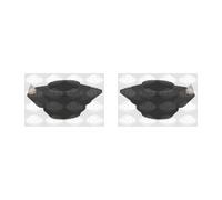 2x SASIC Cojintete Soporte Delant. para Renault Scénic II JM0/1_ 1.6 16V Megane