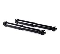 TRW JGT294T Amortiguador