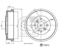 FEBI BILSTEIN Tambor de freno para FORD: Ecosport (Ref: 178515)