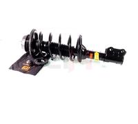 2xGH Puntal Eje Delantero Derecho Izquierda Apto para Hyundai i10 Papá 1.1