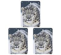 3 ambientadores para coche, tarjetas perfumadas colgantes para coche, tabletas, colgante para espejo retrovisor, leopardo de las nieves de ojos azules, ambientadores para coche, interior del coche,