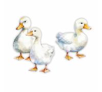 3 bonitos adhesivos de pato, resistentes al agua, 0 % de transparencia, calcomanías de animales de granja, despegar y pegar, perfectas para cubrir marcas, decoración de pared, resistente a la