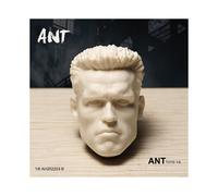 (3) Cabeza esculpida sin pintar, 1/6, Brad Pitt, Tom Cruis, Arnold, Paul Walker, Ronaldo, Bruce Willis, soldado