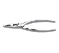 3 claveles - cortamariscos forjado 16 cm., acero inoxidable