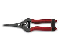 3 Claveles - Tijera Limpia Uvas Recta de 19 cm, negra con Mango Rojo, cierre de seguridad, para recolección y vendimia