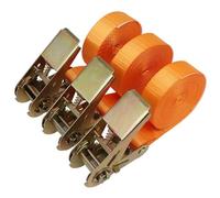 3 Correas con Hebilla de Leva - Correa de trinquete con Gancho - Cuerda de Amarre de Carga for automóviles de 1-6 m x 25 mm, Correa tensora Fija(2.5cm X 5m)