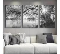 3 Cuadros Decoracion Salon Modernos Para Pared Sobre Lienzo Póster Negro Blanco Gris Impresionante Árbol Grande Lago Puesta de sol Naturaleza Paisaje Estudio Impresiones artísticas Regalo Dormitorio G