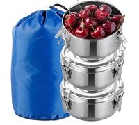 3 fiambreras de acero inoxidable: 240 ml, de acero inoxidable, a prueba de fugas, fiambrera, sin BPA, para aperitivos, frutas, cereales, especias