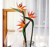 3 Flores permanentes de 32 Pulgadas, Color Naranja y Rojo, Gran pájaro del paraíso, la Parte de la Flor está Hecha de Goma Suave PU sin decoloración, Plantas Artificiales para el hogar, Oficina