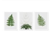 3 Imágenes Set-Póster Abstracto de Hojas de Helecho Nórdico Verde Acuarela de Plantas Verdes Lienzo Arte de Pared Cuadros para Sala de Estar Cocina Dormitorio Decoración del Hogar-40x50cm (sin marco)