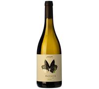 3 × Javier Sanz Viñedo Singular Malcorta Verdejo Rueda (Caja de 3 Botellas de 75 cl)