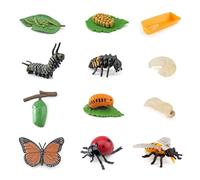 3 Juegos De 12 Modelos De Ciclo De Vida De Insectos Cada Uno, Larvas De Mariquita, Ciclo De Vida De Abeja, Juguete De Insectos Para Niños, Mariquita Para Niños, Modelo De Crecimiento De Insectos
