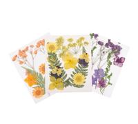 3 Juegos Flores Secas Decorativas para Resina, Bricolaje y Cuencos | Material de Flores Secas, Relleno para Moldes y Velas Aromáticas, Uso Decorativo, Efecto Duradero