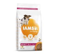 3 kg IAMS Senior Mini&Medium pienso para perros