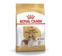 3 kg Royal Canin Adult Cavalier King Charles pienso para perros
