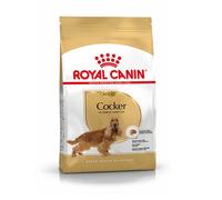 Royal canin perro cocker adult, 3 kg