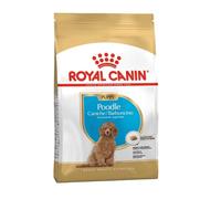 Royal Canin Poodle Puppy pienso para cachorro caniche - Saco de 3 Kg