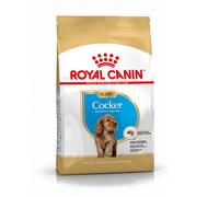 Royal Canin Pienso Cocker Puppy para cachorros – 3 kg