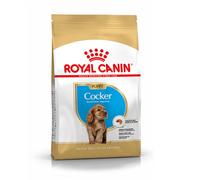 Royal Canin Pienso Cocker Puppy para cachorros – 3 kg