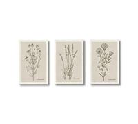 3 láminas de lienzo para pared con estampados botánicos florales de flores silvestres, arte minimalista para sala de estar o pasillo (50x70cm/sin marco)