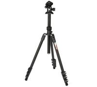 3 Legged Thing Punks Patti 2.0 + AirHed Oscuridad