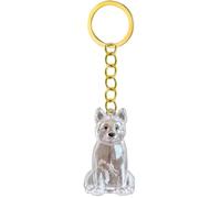 3. Llavero conmemorativo de pérdida de mascotas, caja de almacenamiento transparente para pelo de perro o cenizas para dueños en duelo, joyero, llavero de memoria, regalo sentimental