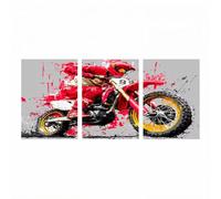 3 Pack Diamond Painting Motocicleta, Pintura Diamante 20x30 cmx3 Pintar por Numeros con Diamantes Carrera a campo traviesa, Punto de Cruz Pintura Diamantes Cuadros Decoracion Salon Modernos ZSHS-3623