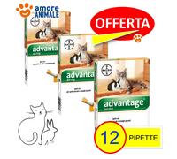 3 Paquetes - Bayer Advantage 40 Mg - Para Gato Inferior A 4 Kg - 4 Pipetas