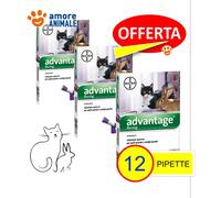 3 PAQUETES - Bayer Advantage 80 Mg Para GATOS Y Conejos Más De 4 Kg - 4 Pipetas