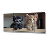 3 Pcs Pintar por Numeros Adultos, Lindo, DIY Painting by Numbers Adult, Gato, Cuadros para Pintar por Numeros con Pinturas Acrilicos, Decoracion Hogar, Regalos Originales para Mujer 50x100cm 0q-260