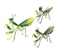 3 Piezas Adorno De Mantis Religiosa Mariquitas Vivas Para El Control De Pulgones Estatuilla De Animales Escultura De Árbol Rezando Saltamontes Estatua Planchar Insecto Langosta 3d