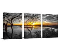 3 Piezas Arte de pared en blanco y negro Amanecer dorado en el lago Impresión de pintura fotográfica Póster de paisaje natural Decoración de sala de estar(50x70cm x 3/Sin marco)