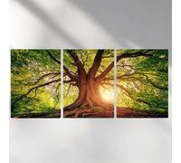 3 Piezas Diamond Painting árbol Diamond Painting Kit Completo, Redondo Lozano Diamantes para Manualidades Adultos, Kit de Pintura de Diamante Punto de Cruz para Decoracion Pared 30x45cm a-6342