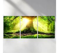 3 Piezas Diamond Painting Verde Diamond Painting Kit Completo, Redondo árbol Diamantes para Manualidades Adultos, Kit de Pintura de Diamante Punto de Cruz para Decoracion Pared 20x30cm a-6346