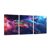 3 Piezas Marco de Madera Cuadros Decoracion Salon Modernos Cielo Estrellado Lienzos Decorativos Grandes Animal Cuadros Decoración Dormitorios Posters para Pared Baño Restaurante Cocina 30x40cm U1-1096