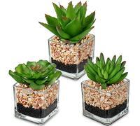 3 plantas artificiales suculentas artificiales como auténticas en maceta de cristal, plantas suculentas decorativas para salón, balcón, dormitorio, baño, decoración de mesa