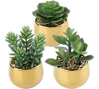 3 plantas artificiales suculentas, decoración primaveral, flores artificiales en maceta de cerámica, decoración para salón, jardín, balcón, dormitorio, cuarto de baño