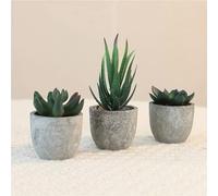 3 Plantas/Set de Plantas Suculentas Artificiales en Macetas, Regalo de San Valentín, , Graduación, Decoración de Habitación, Decoración de Baño, Boda