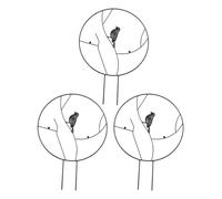 3 soportes para plantas con marco de escalada con diseño de pájaro de hierro para apoyar vides trepadoras, flores y plantas de jardín, soportes verticales
