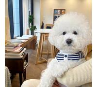 3 uds. Sudadera a Rayas para Perros pequeños, Ropa de Verano para Cachorros, Chaleco Suave para Perros y Gatos, Disfraces para Perros