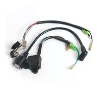 3 unids/lote ET950 ET650 IE45 TG950 con bobina de encendido Magneto for generador TIGER 450W 650W 800W 950W 1000W 2 tiempos