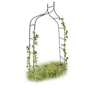 3 x Arco de Metal Curvado para Enredaderas de 240 cm, Arco de Rosas Real con Encaje, Ayuda para Enredaderas y decoración de jardín para Exterior, Color Verde