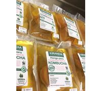 3 x BEBÉ KOMBUCHA FRESCO, SCOBY KOMBUCHA - Con Registro Sanitario (RGSEAA) - Elabora Tu Propio Té de Kombucha Biológico en Casa